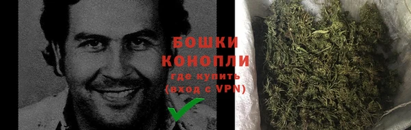 индика Волосово