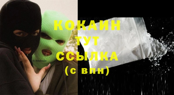 индика Волосово