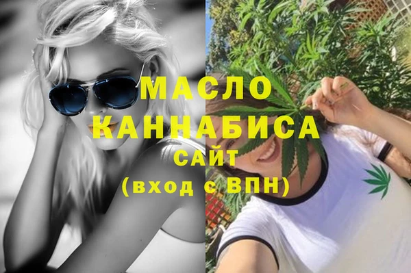 индика Волосово