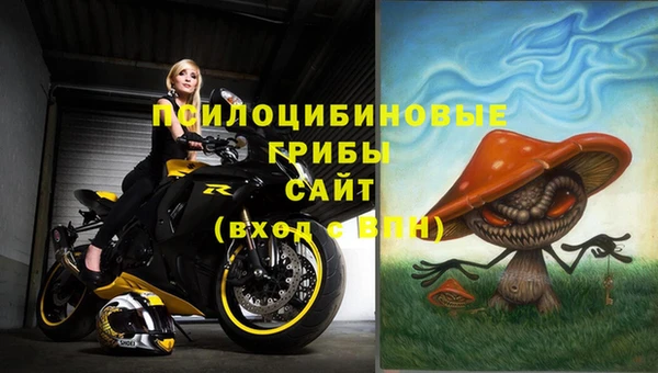 ГАЛЛЮЦИНОГЕННЫЕ ГРИБЫ Волоколамск